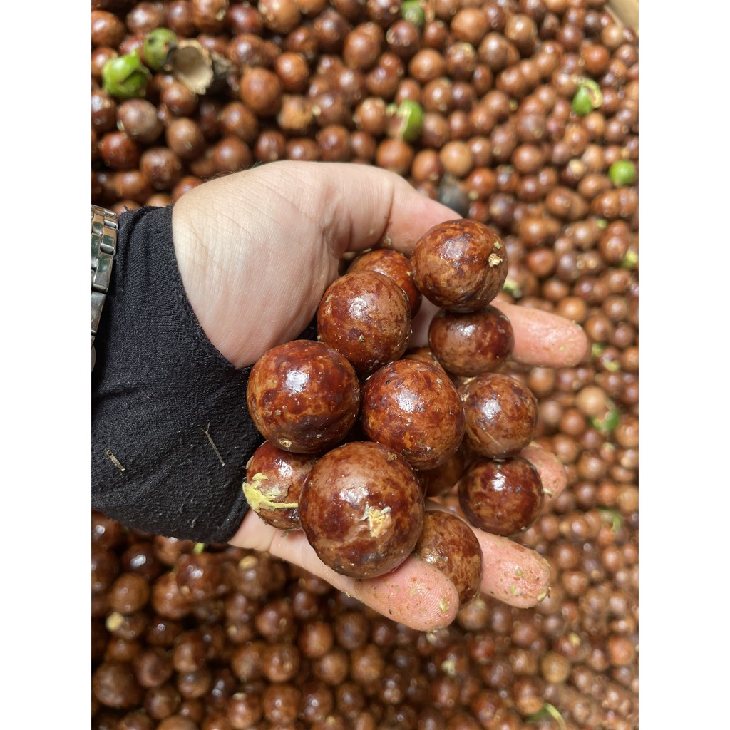 [Gói 500g] Hạt Macca B'Lao sấy nứt vỏ loại đặc biệt. | BigBuy360 - bigbuy360.vn