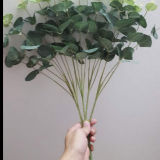CÀNH TÁO ĐIỂM