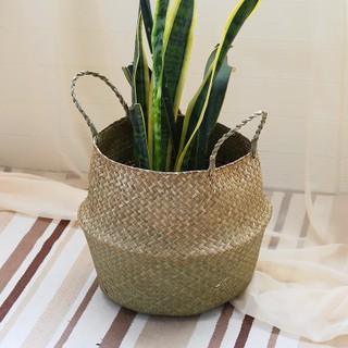 Giỏ cói cao cấp trồng cây (full size) Lan Decor