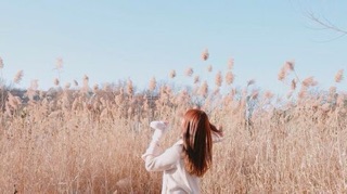 Voucher dịch vụ Visa Hàn Quốc uy tín
