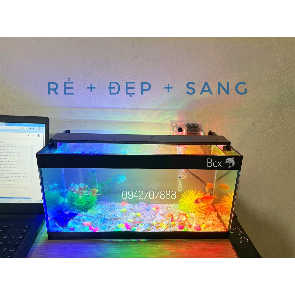 Bộ bể cá cảnh size 40cm đầy đủ đèn lọc và phụ kiện