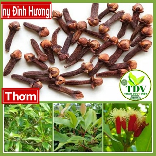 100GAM NỤ ĐINH HƯƠNG TÂY BẮC GIA VỊ THƠM NGON - HÀNG CÔNG TY THẢO DƯỢC VIỆT