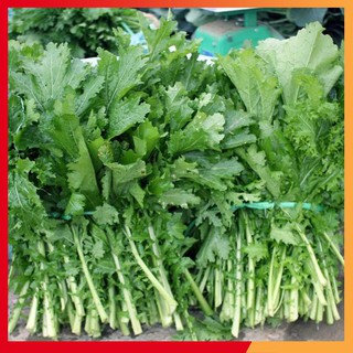 Hạt giống rau cải mèo Sapa - 20gr
