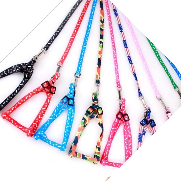 Dây dắt cho thú cưng 1 lớp