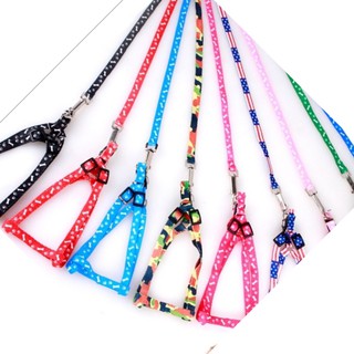 Dây dắt cho thú cưng 1 lớp