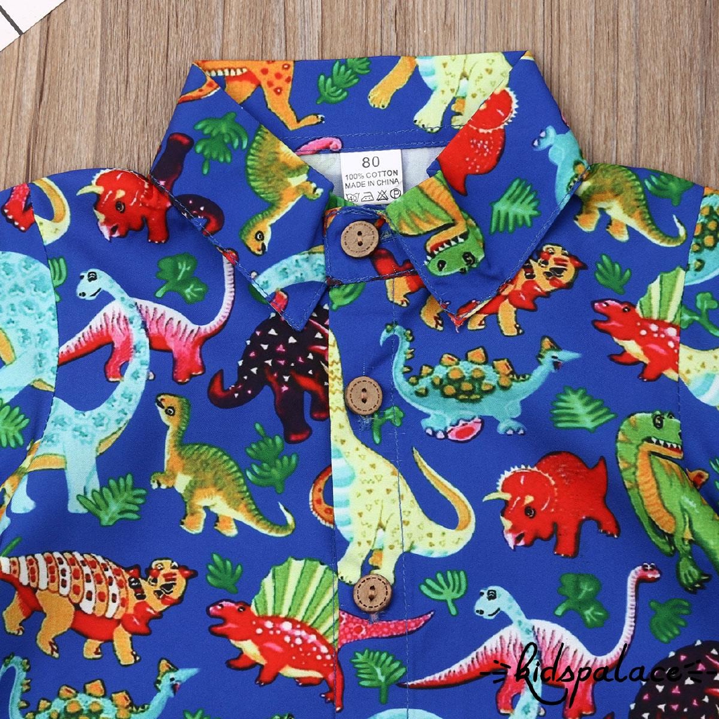 ✦YR-DE Neugeborenes Baby Mädchen Dinosaurier Floral Tops Shirts Kurze Hosen Outfits