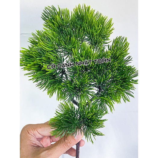 NHÁNH THÔNG NHÂN TẠO TRANG TRÍ NHÀ CỬA, BỂ CÁ, TIỂU CẢNH