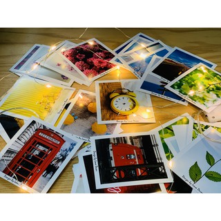 Combo 8 postcard trang trí
