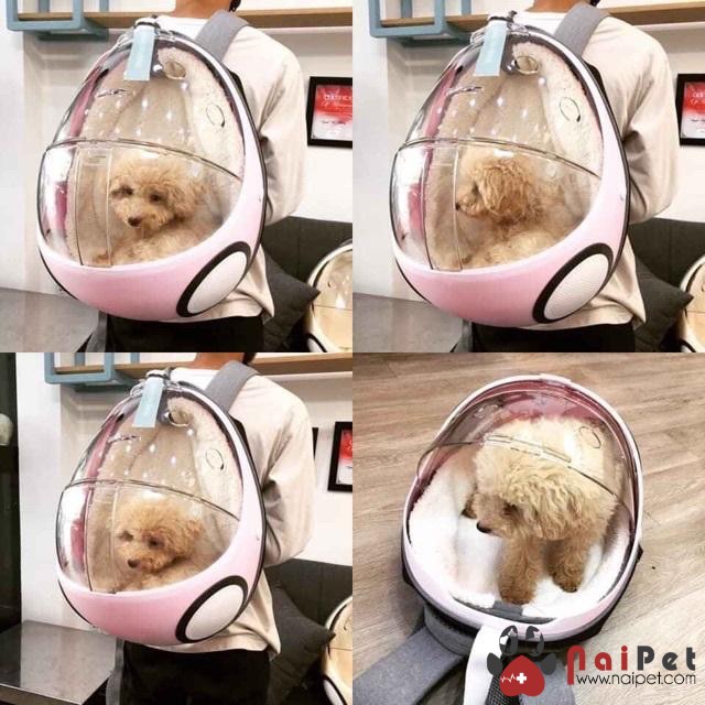 Ba Lô Vận Chuyển Phi Hành Gia Lồng Trứng Egg LVC014