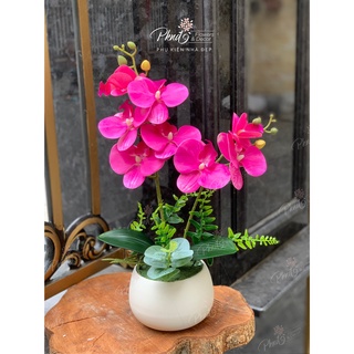 Chậu hoa giả lan cao su hai nhánh trang trí đẹp chậu ngẫu nhiên PKND FLOWERS & DECOR