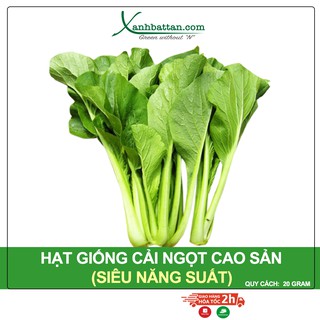 Hạt Giống Cải Ngọt Cao Sản Phú Nông Gói 20 Gram