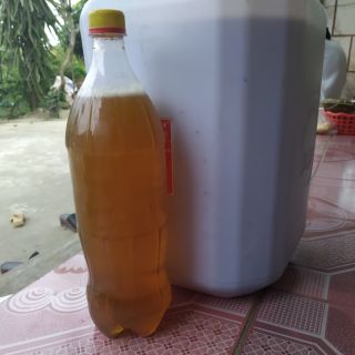 Mật ong hoa cây rừng