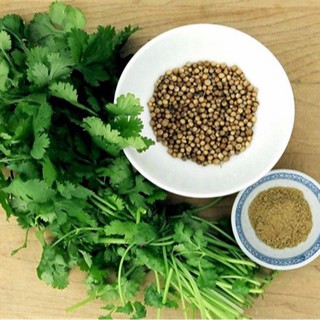 Hạt giống rau mùi ta chịu nhiệt - 20gr