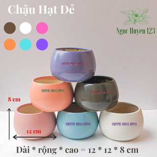 [Chậu Sứ Bát Tràng] Chậu Hạt Dẻ Trồng Cây - Chậu Trồng Cây Mini Để Bàn- KT 12cmx12cmx8cm