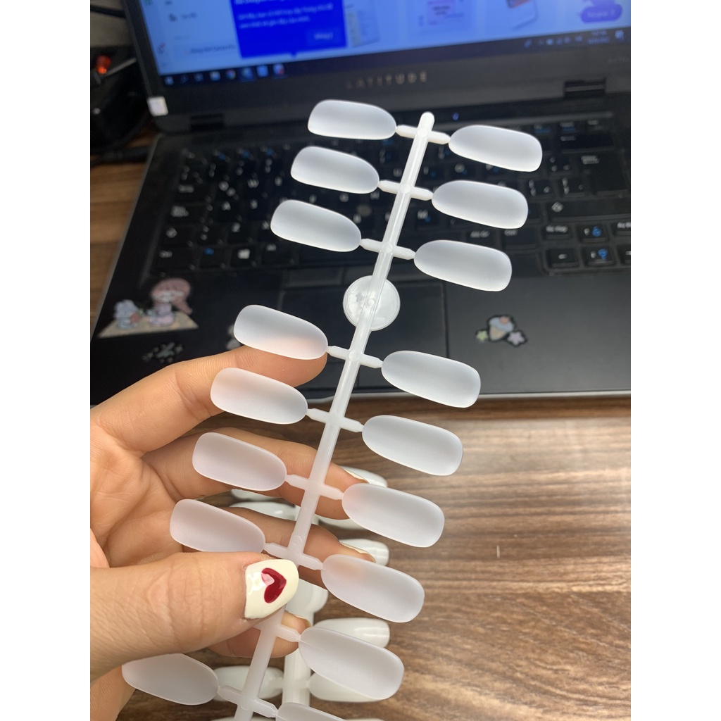Móng mẫu vỉ phom tròn học nail chuyên dụng