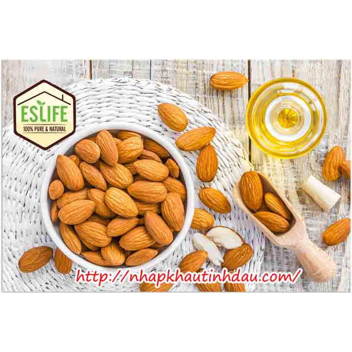 Dầu hạnh nhân – Sweet Almond Oil I dầu nền tự nhiên nguyên chất làm đẹp và làm dầu massage