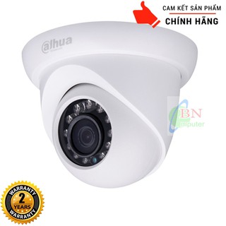 Camera Dahua IP DS2230SDIP Chính Hãng