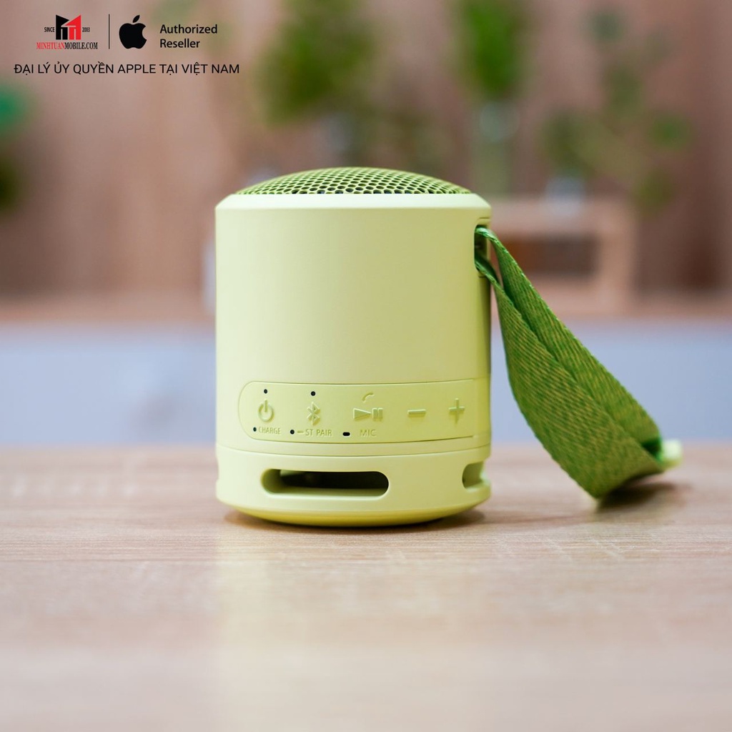 Loa bluetooth Sony SRS-XB13