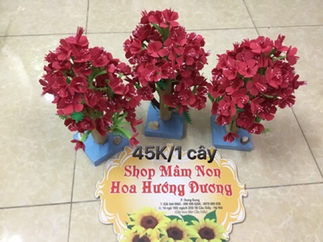 Cây xanh góc xây dựng