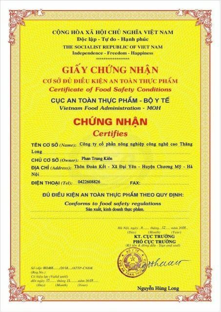 1kg trà túi lọc Cà Gai Leo Sadu mát gan-giải độc-thanh nhiệt cơ thể