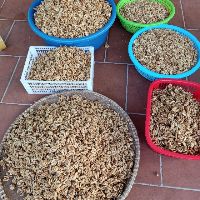 1KG NHÂN ÓC CHÓ MỸ