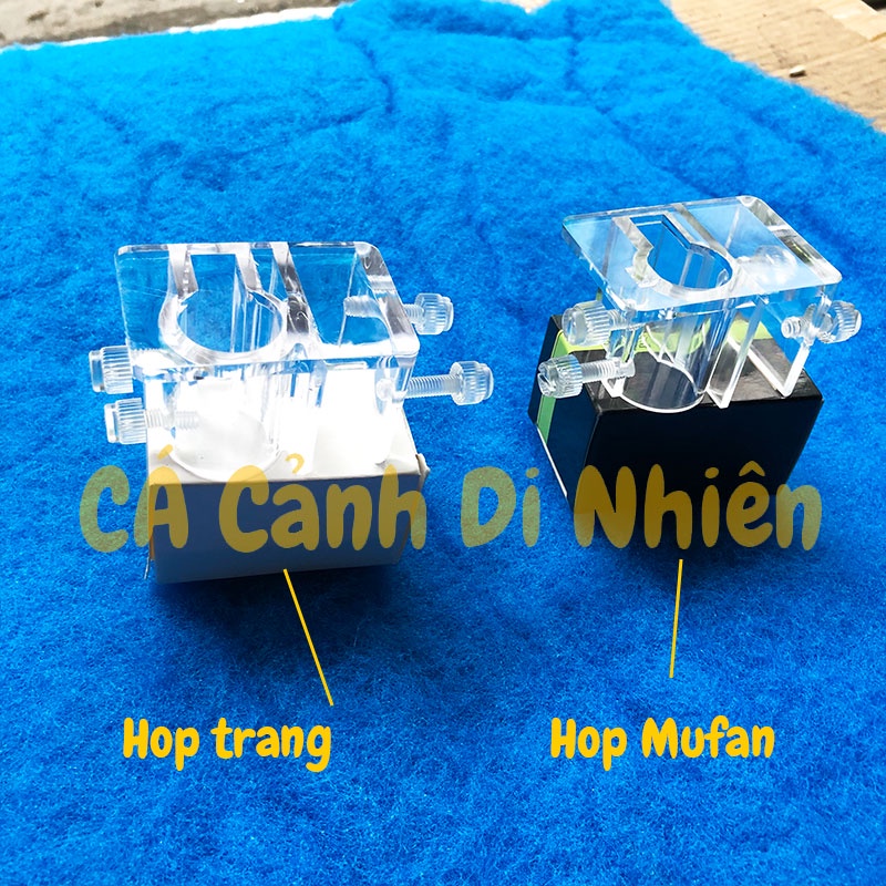 Kẹp giữ ống IN OUT cho phi ống 16mm hồ cá thủy sinh - Kẹp mica giữ ống nước bể cá