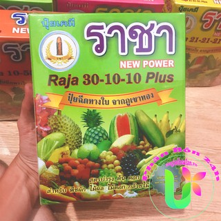 Phân Bón Tăng Sức Sống Cây Con -  phân bón npk Raja 30-10-10 Plus Thái Lan - 1kg