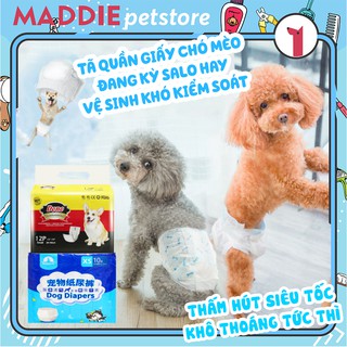 Tã quần bỉm cho chó mèo cái - đực - tã sinh lý - bỉm sinh lý chó mèo - maddie petstore