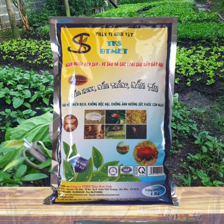1kg NẤM BA MÀU Ký Sinh Trừ Sâu Rầy Rệp Sáp Sinh Học, An Toàn - Bột Hòa Tan