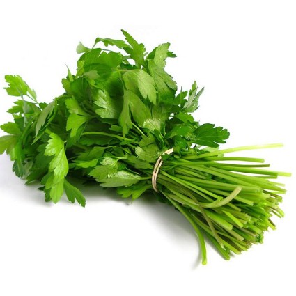 HẠT GIỐNG NGÒ HẠT LỚN Ngò Đỏ Mùi ta - 20gr.
