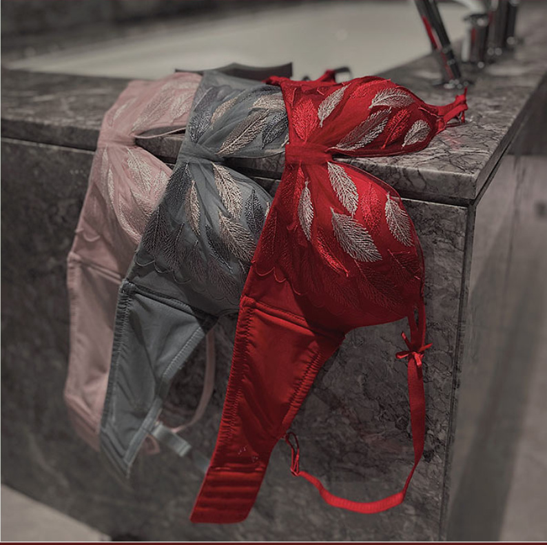 Bộ Đồ Lót Phối Ren Thêu Họa Tiết Xinh Xắn Dành Cho Nữ | BigBuy360 - bigbuy360.vn