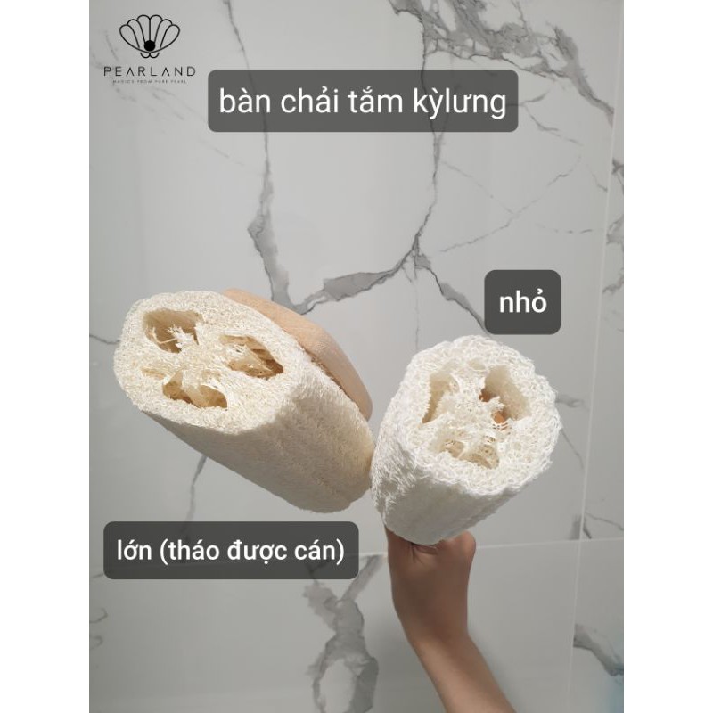 [HÌNH THẬT] Bàn chải kỳ lưng - bàn chải tắm - tẩy da chết từ Xơ mướp tự nhiên