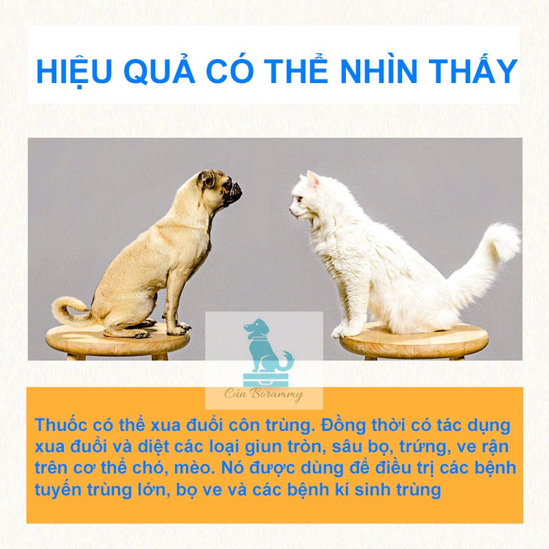 Nhỏ gáy chống kí sinh trùng ve rận cho chó mèo Abamectin  - Nhỏ gáy xua đuổi côn trùng cho thú cưng