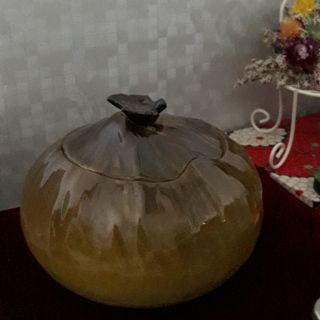 Bộ thố