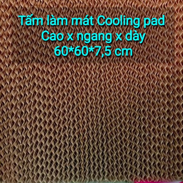 2 Tấm làm mát cooling pad  60*60*7.5(cm)