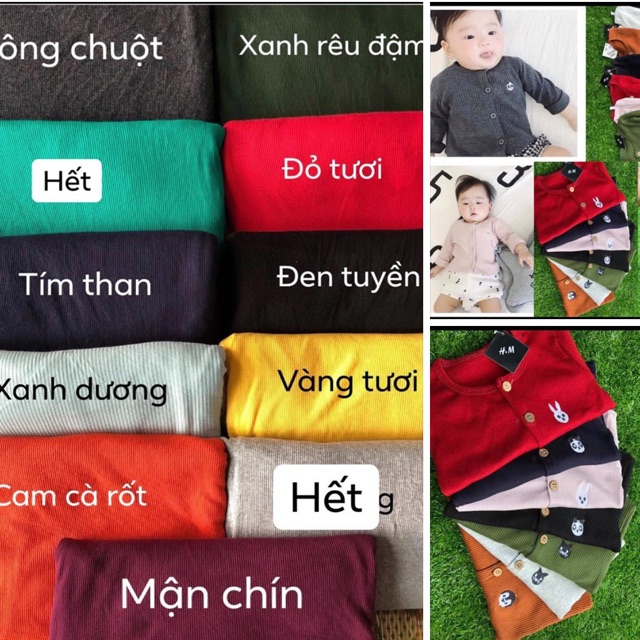 Cotton bozip gân
