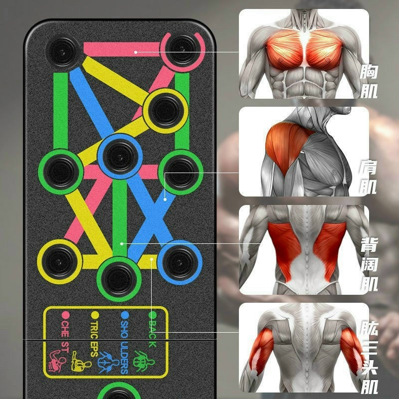 [Freeship] Bộ Dụng Cụ Tập Hít Đất Đa Năng 12 Trong 1- Bộ Bàn Tập Chống Đẩy Tập Gym Tại Nhà
