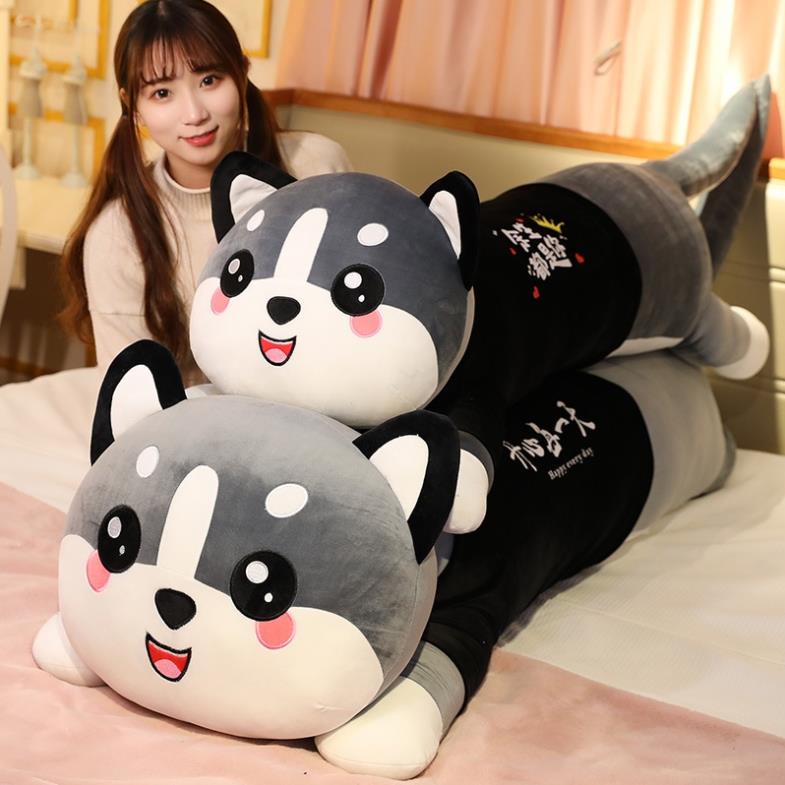 Gấu Bông Mèo , Gối Ôm Mèo Husky Khổng Lồ Size 1M1/1M3/1M6
