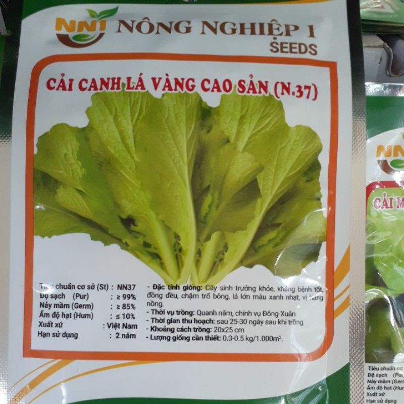 HẠT GIỐNG CẢI CANH LÁ VÀNG CAO SẢN