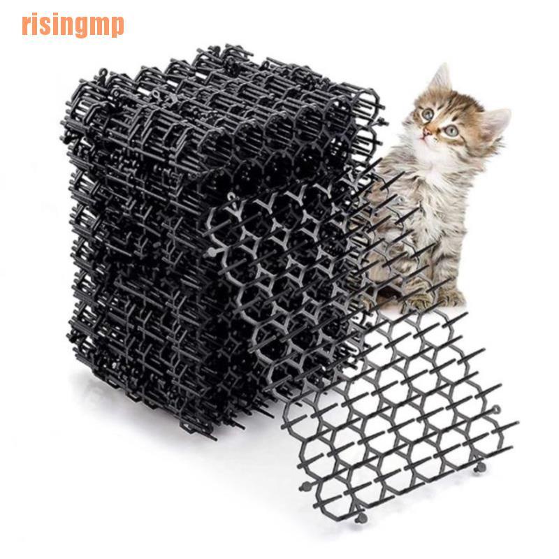 Dụng Cụ Bảo Vệ Cây Trồng Chống Mèo