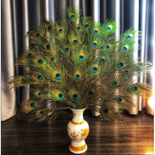 Lông công trang trí phong thủy thu hút tài lộc may mắn sung túc cho gia đình chủ nhân dài 90-120cm | BigBuy360 - bigbuy360.vn