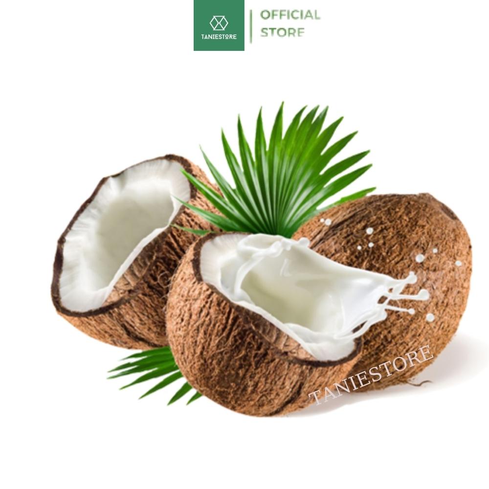 Dừa khô sấy giòn cao cấp ăn vặt đặc sản Bến Tre bổ dưỡng thơm ngon tốt cho sức khỏe