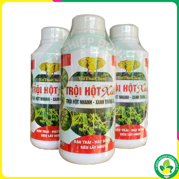 TRỘI HỘT Xoài – Đậu trái, Mát bông, Siêu lấy nhụy