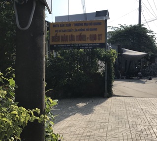 Gạo ST24 túi 5kg