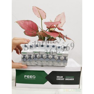 Thiết bị đóng cắt FEEO MCB AC 2P 32A