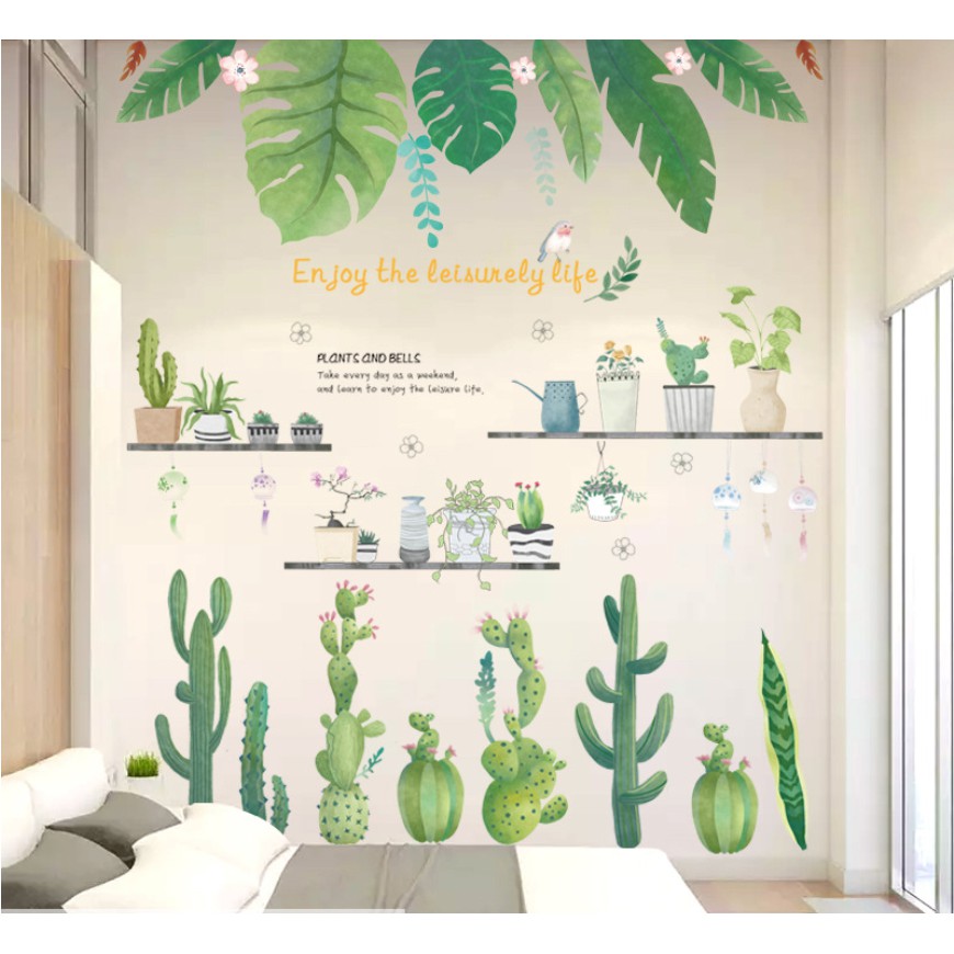 Combo Decal dán tường - Dương xỉ nhạt và nhiều chậu 03 phối xương rồng ( 3 tấm )