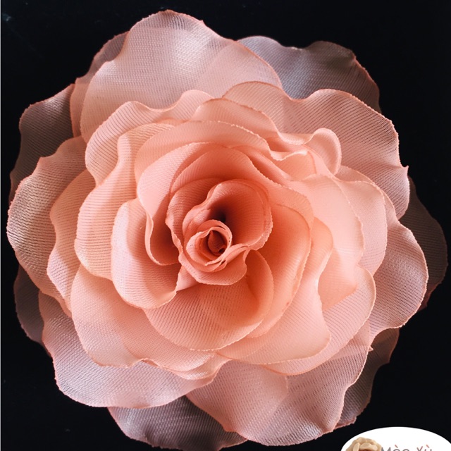 Hoa Cài Áo handmade hoa Hồng