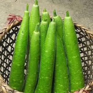 Hạt Giống Bầu Sao Lai (10 hạt)