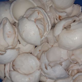 Dừa non đã làm sạch 3kg ( hàng đặt trước 1-2 ngày)