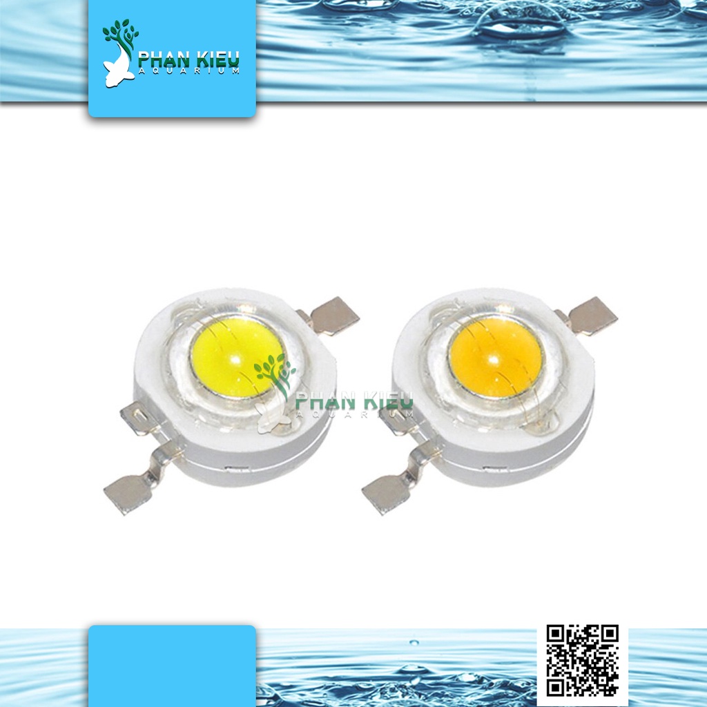 Bóng đèn led luxeon 1w 10000k DIY đèn thủy sinh